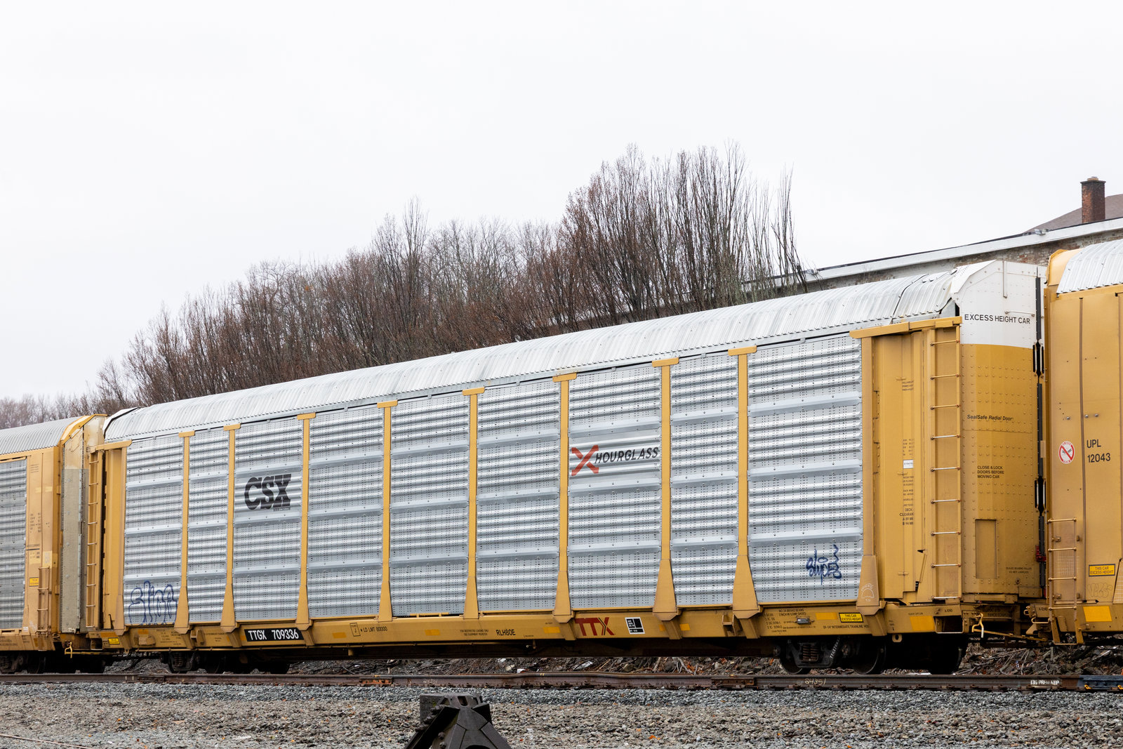 TTGX 709336