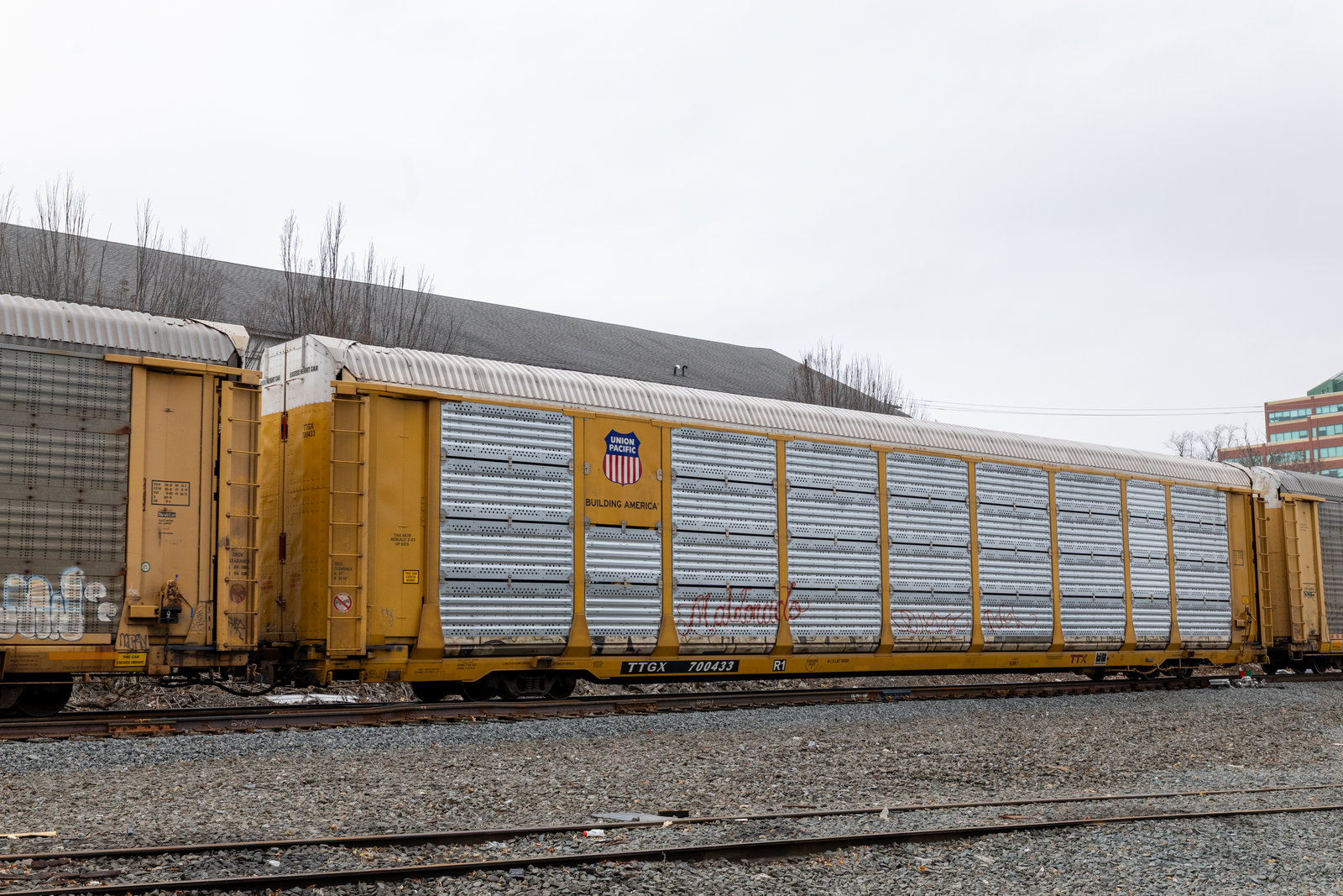 TTGX 700433