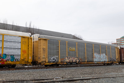 TTGX 700998