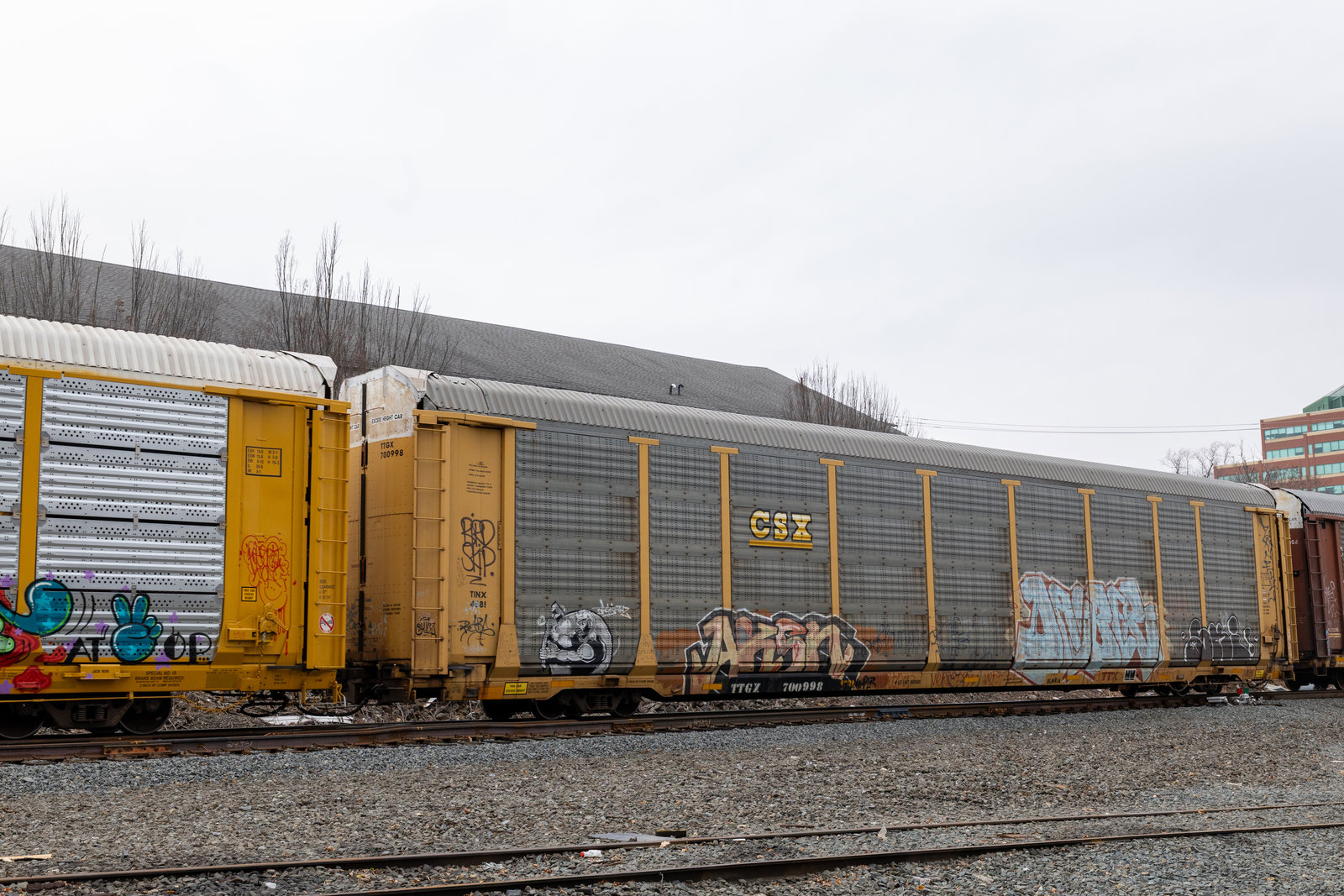 TTGX 700998