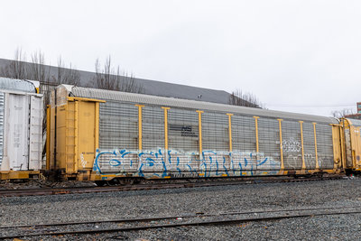 TTGX 700838