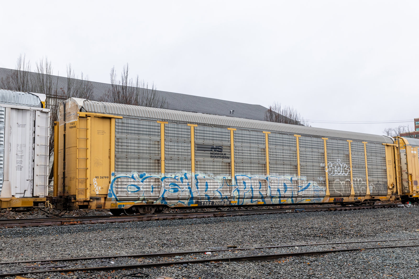 TTGX 700838