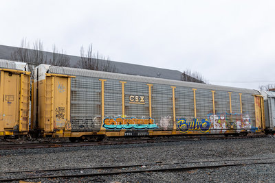 TTGX 820311