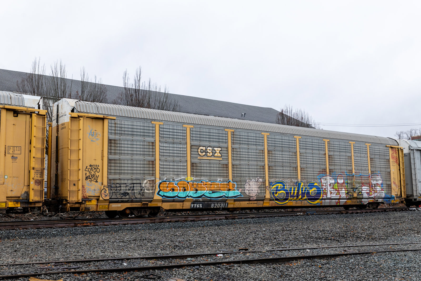 TTGX 820311