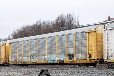 ETTX 711135
