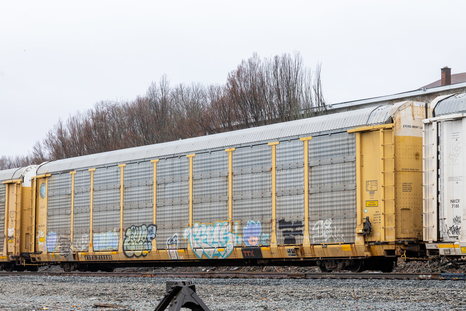 ETTX 711135