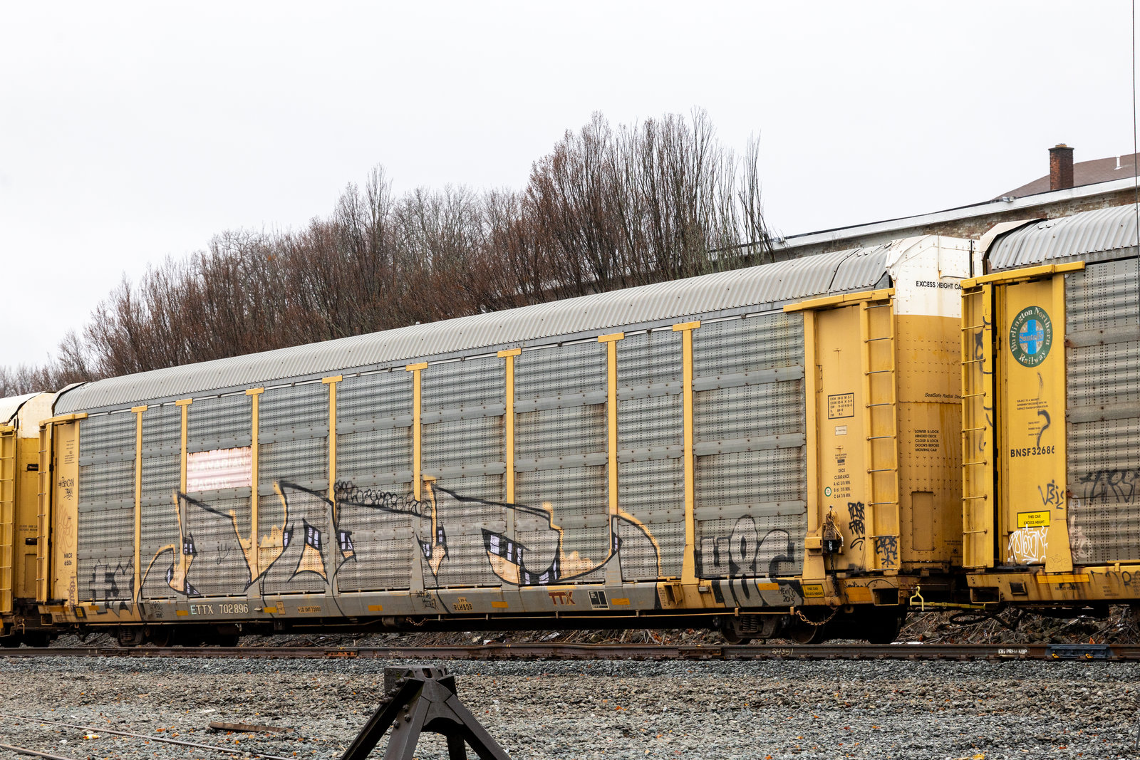 ETTX 702896
