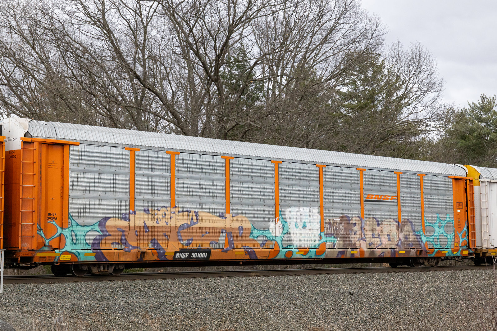 BNSF 301001