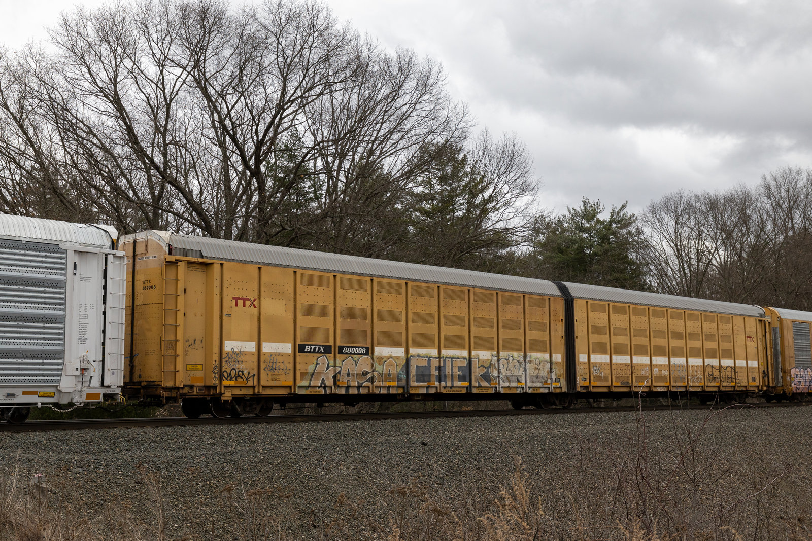 BTTX 880008