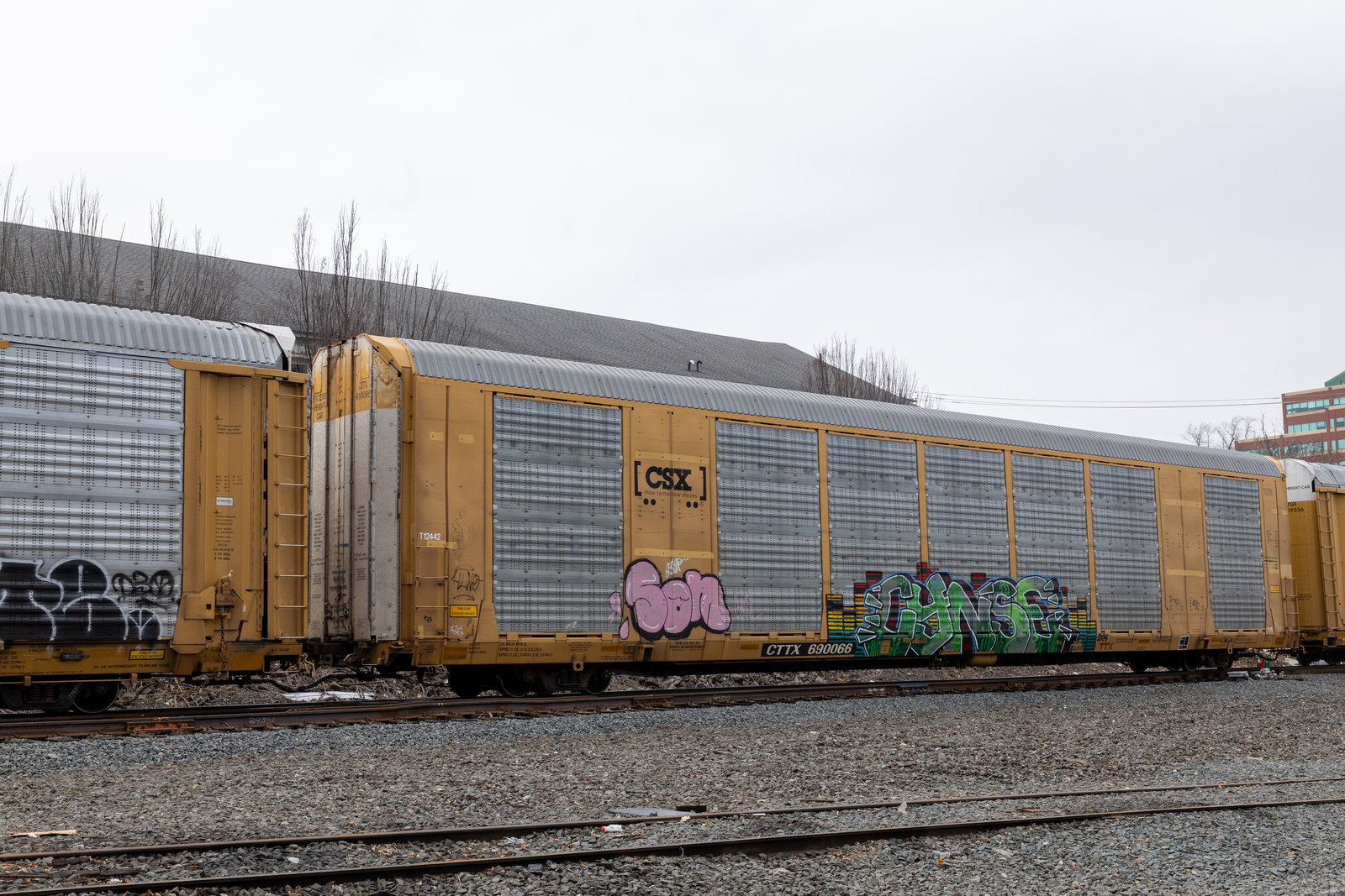 CTTX 690066