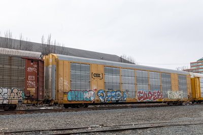 CTTX 694522