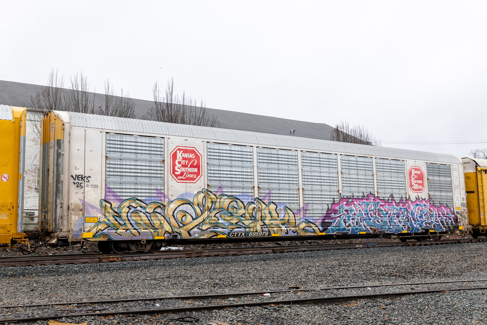 CTTX 695979