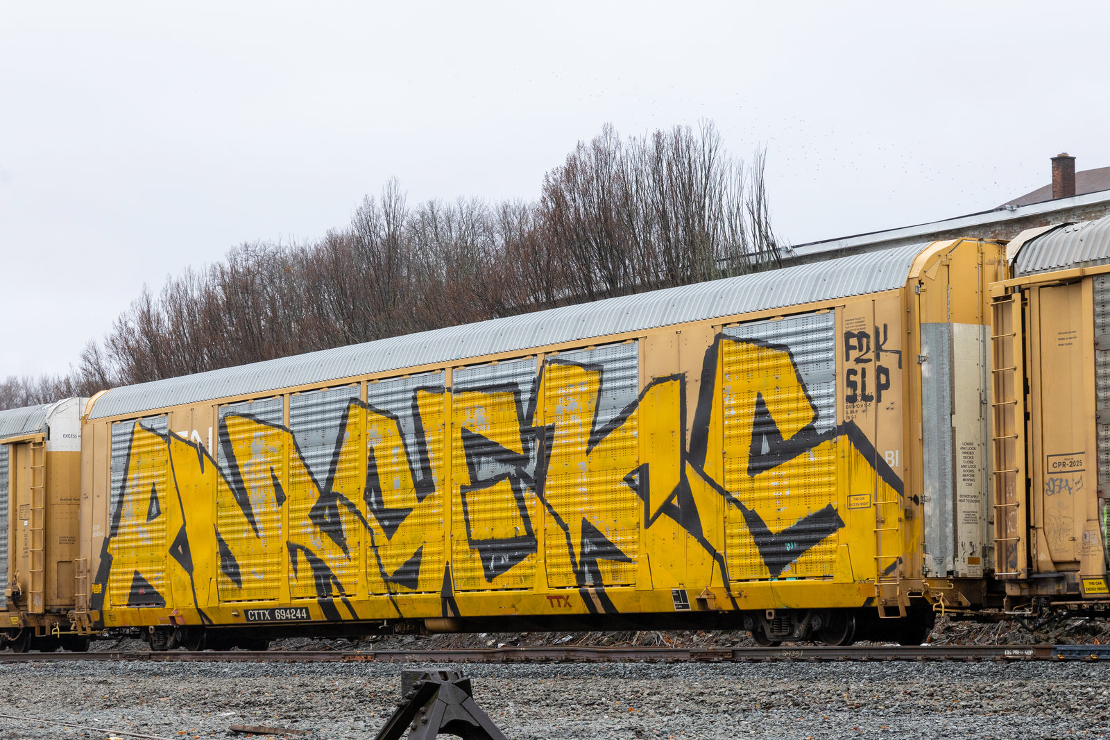 CTTX 694244
