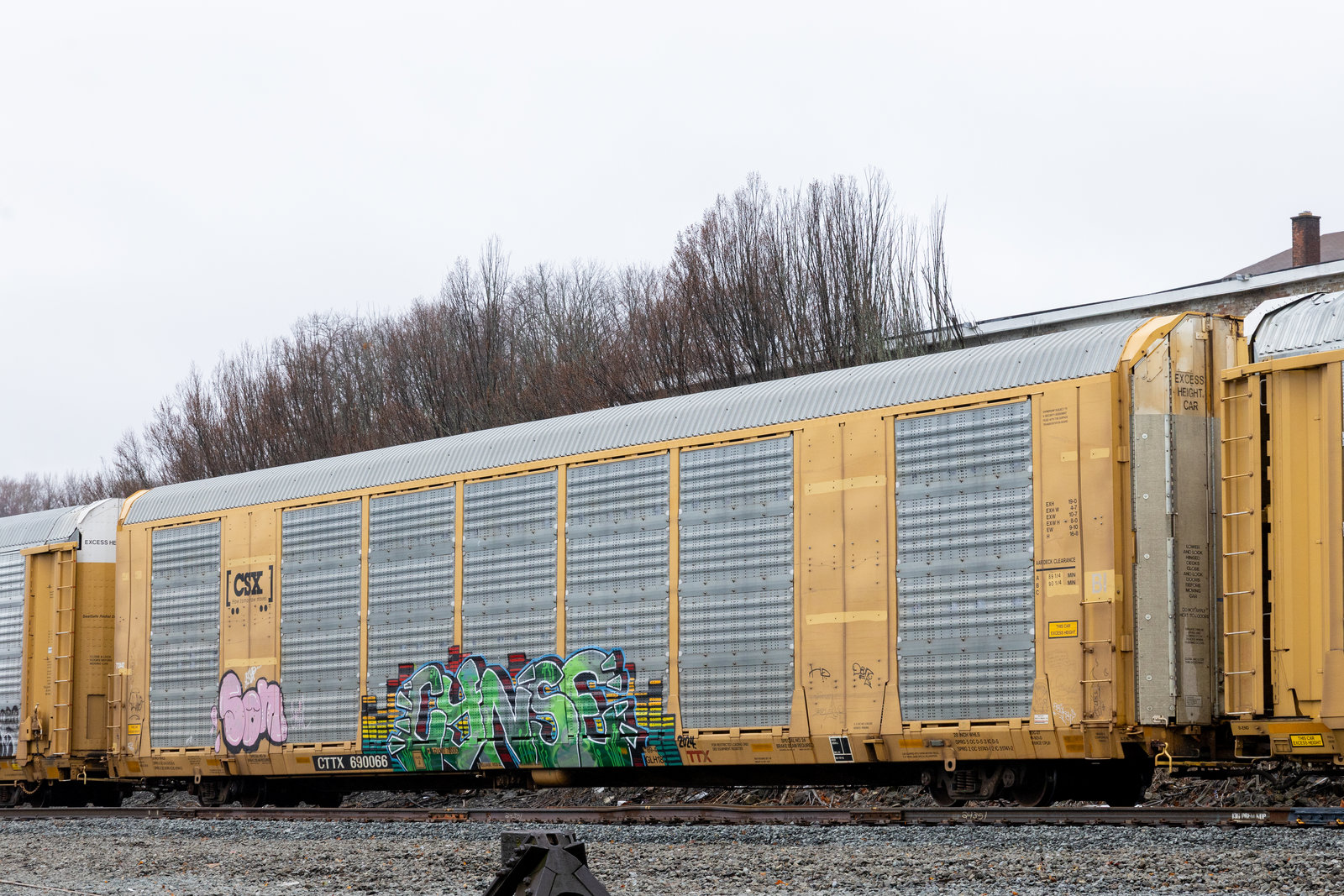 CTTX 690066