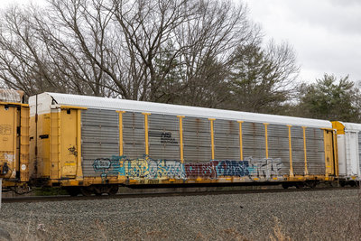 NS 171019