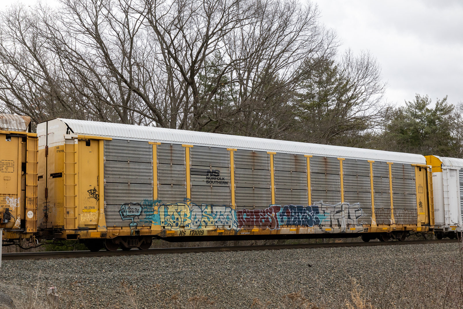 NS 171019