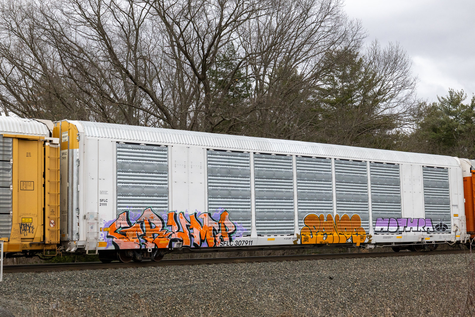 SFLC 307911