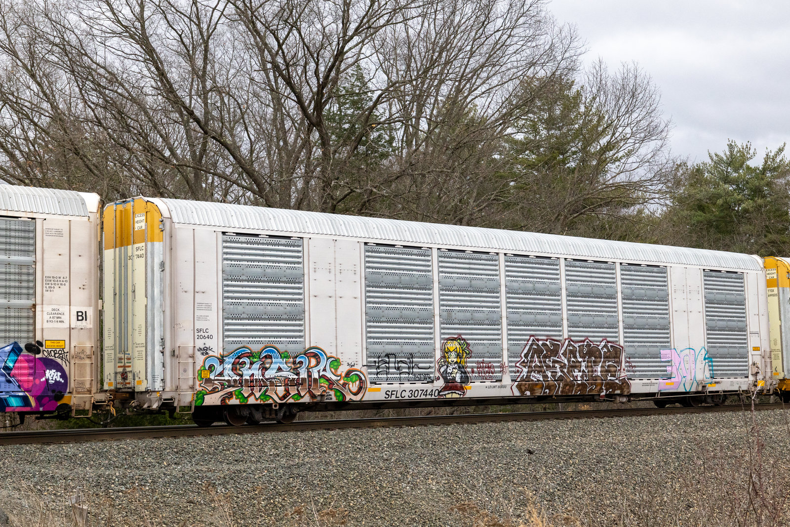SFLC 307440