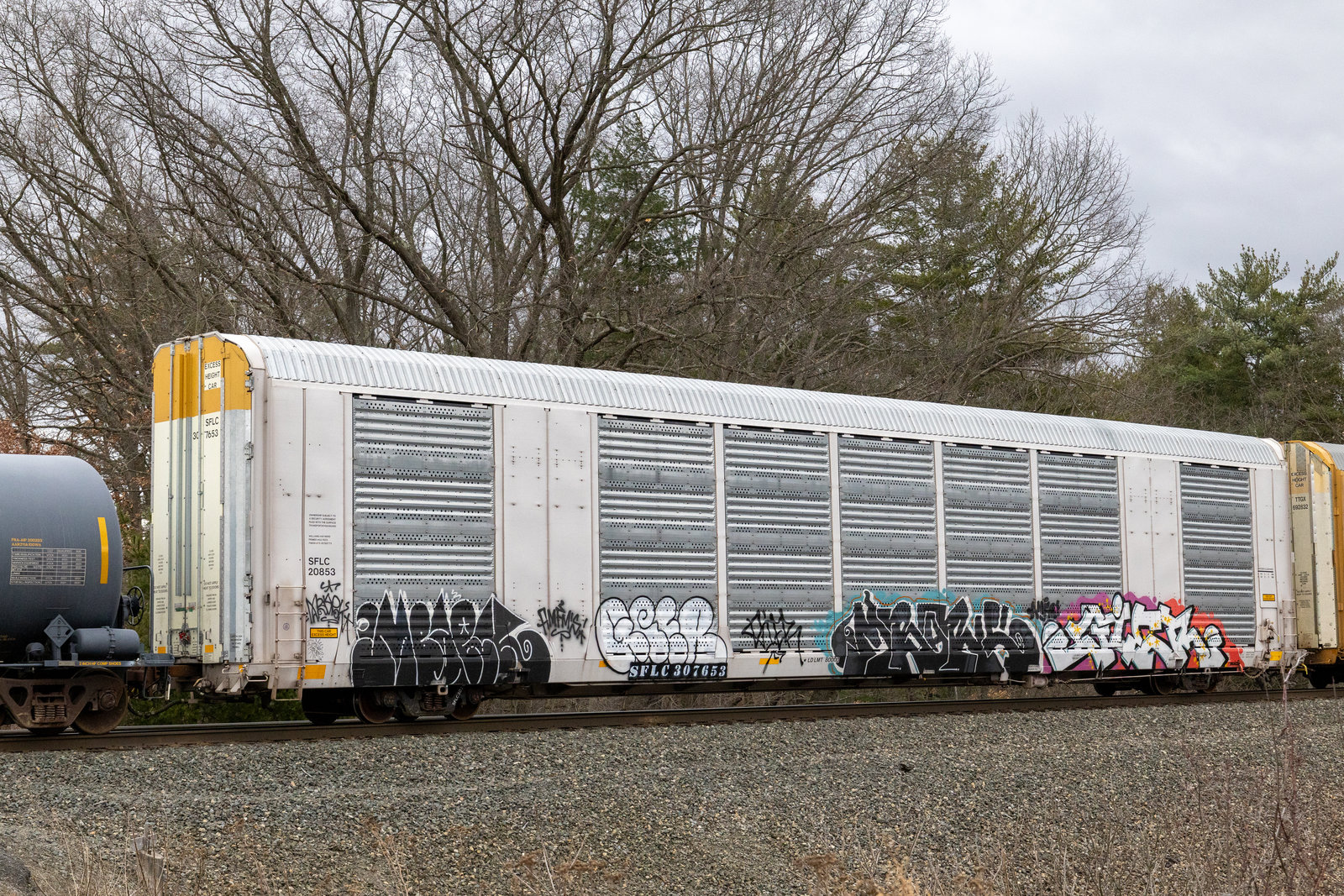 SFLC 307653