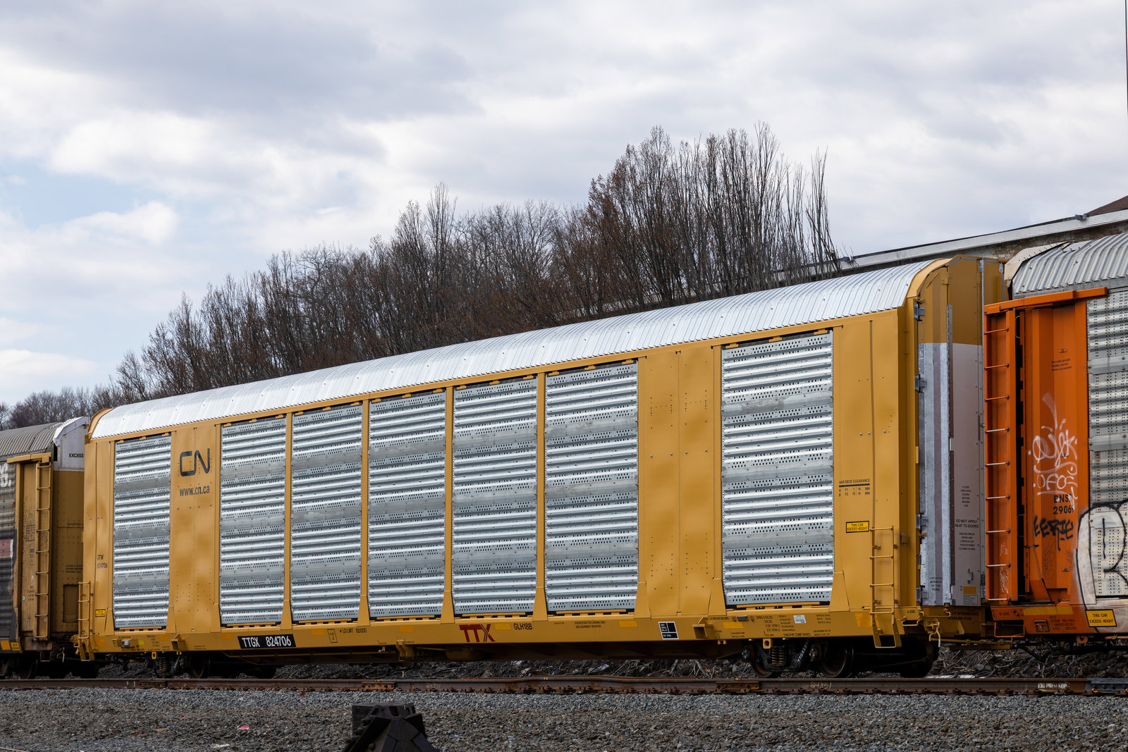 TTGX 824706