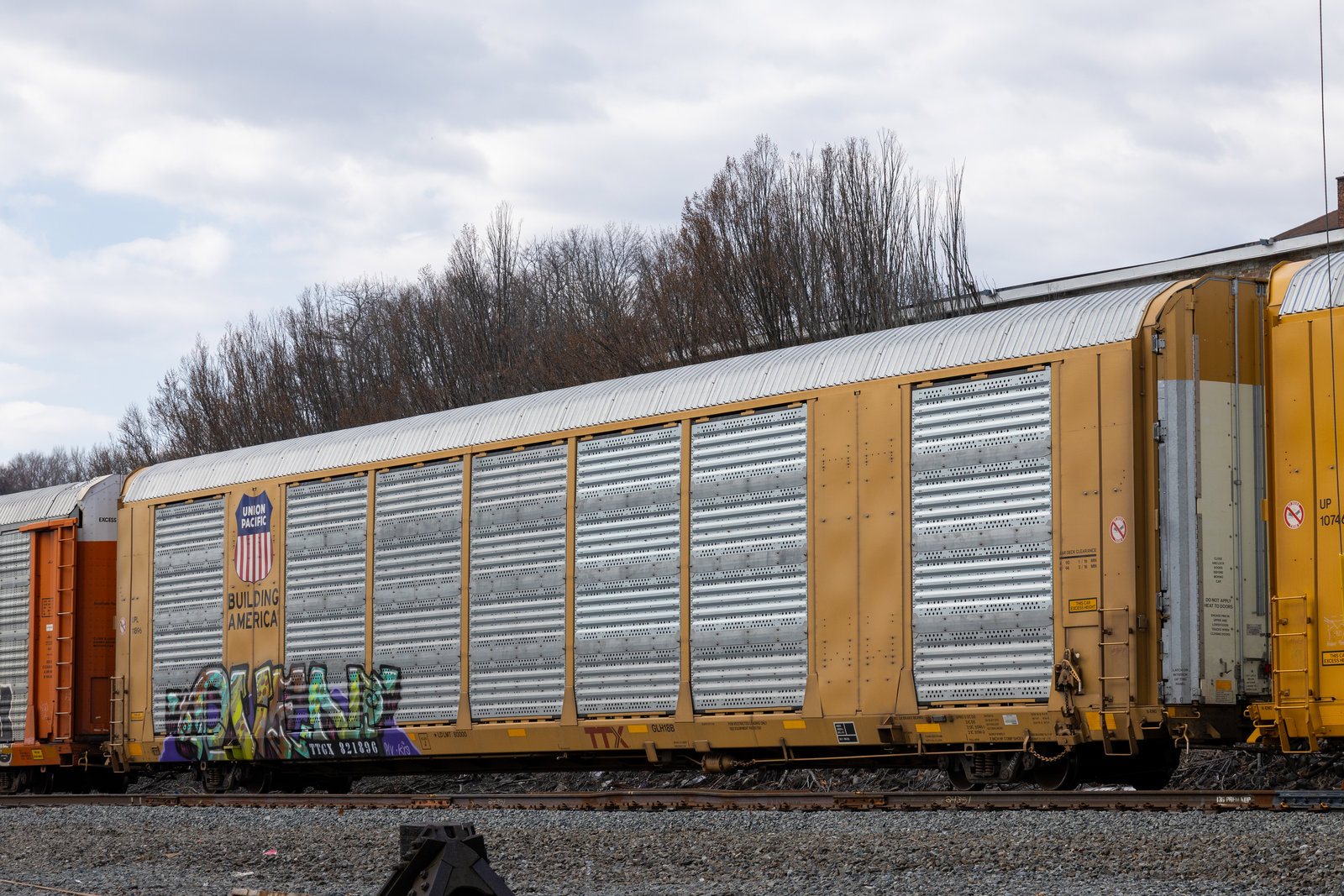 TTGX 821896
