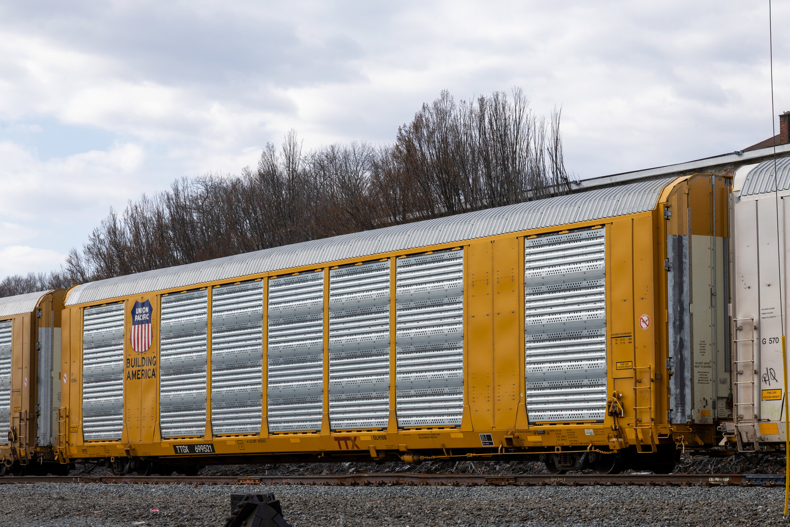 TTGX 699521
