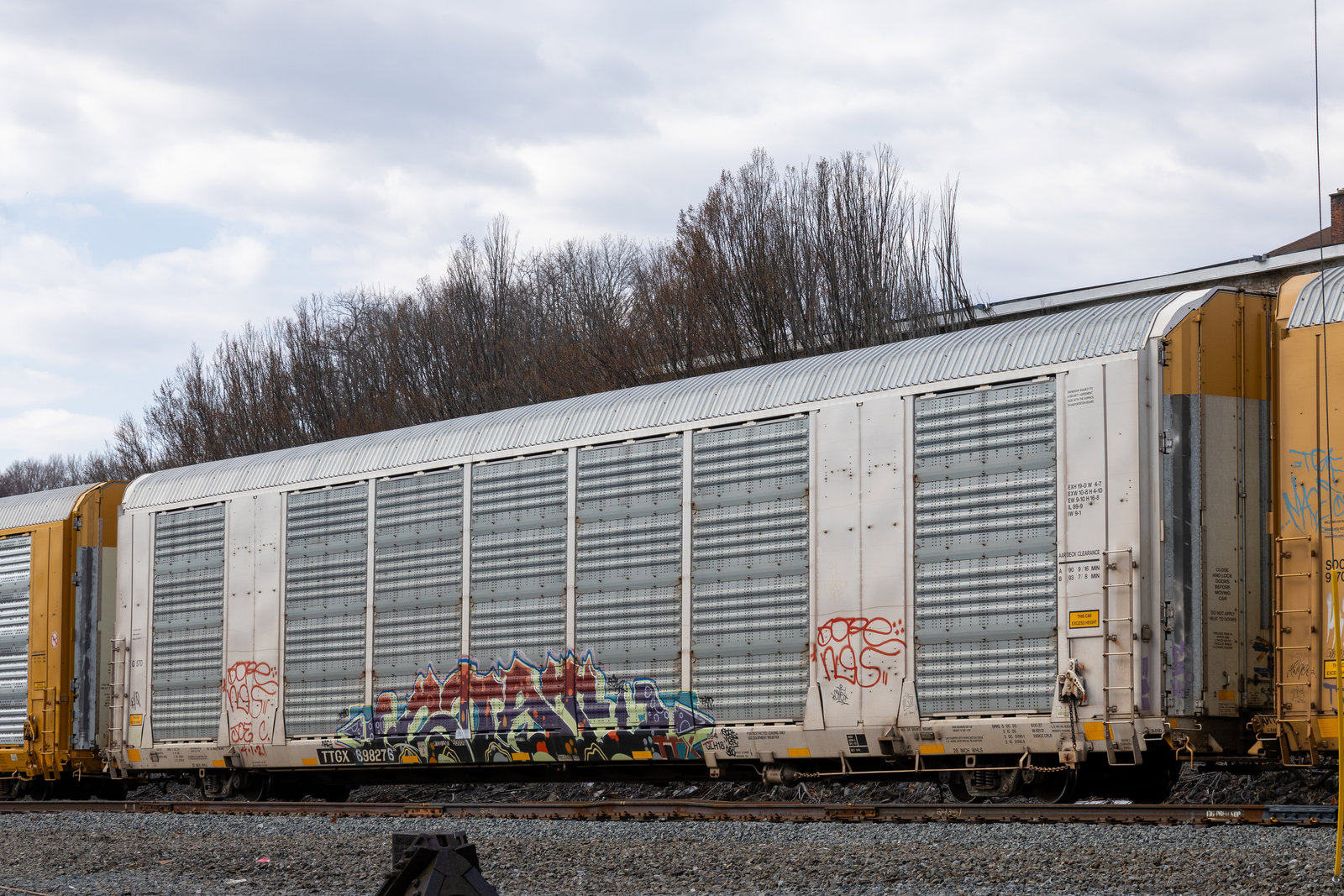TTGX 698276