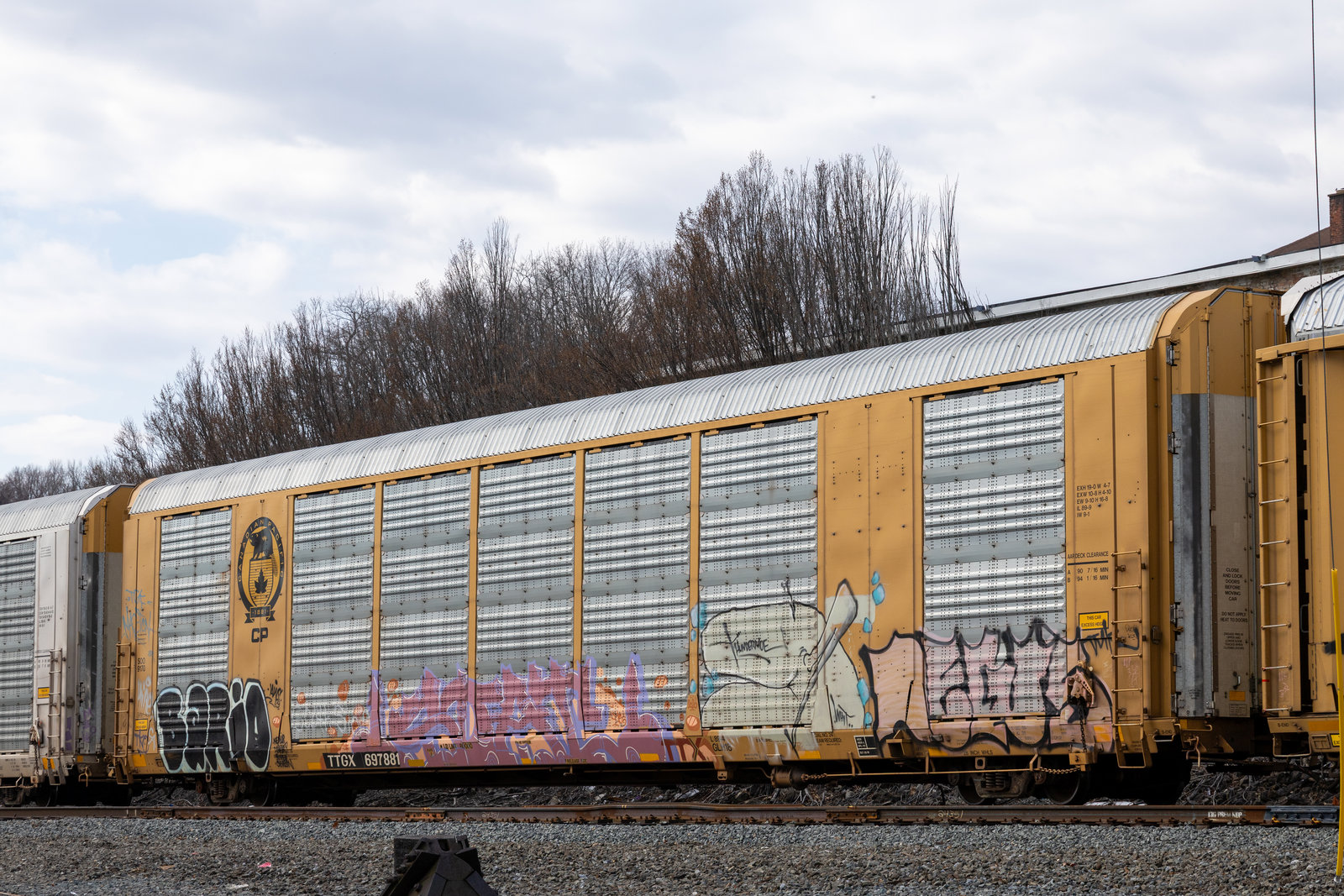 TTGX 697881