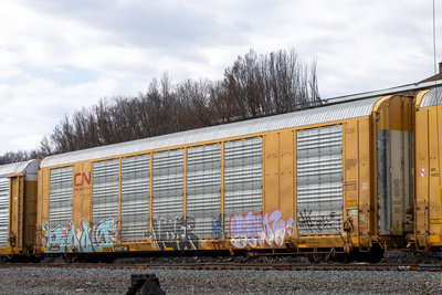 TTGX 696796