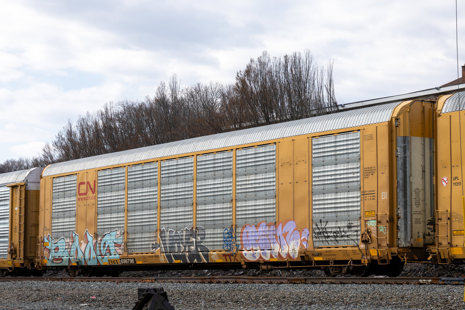 TTGX 696796