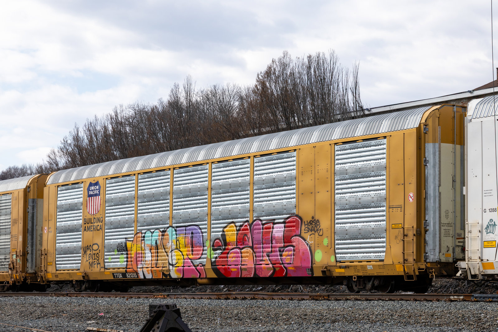 TTGX 821315