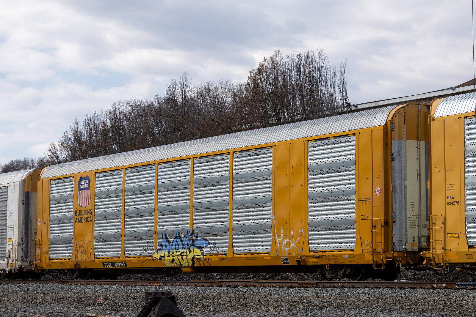 TTGX 699143