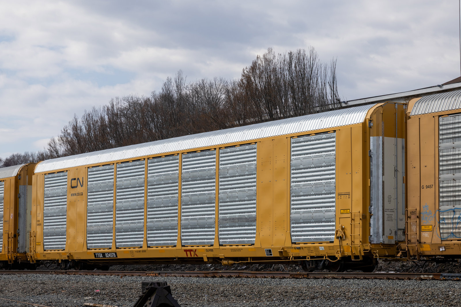TTGX 824578
