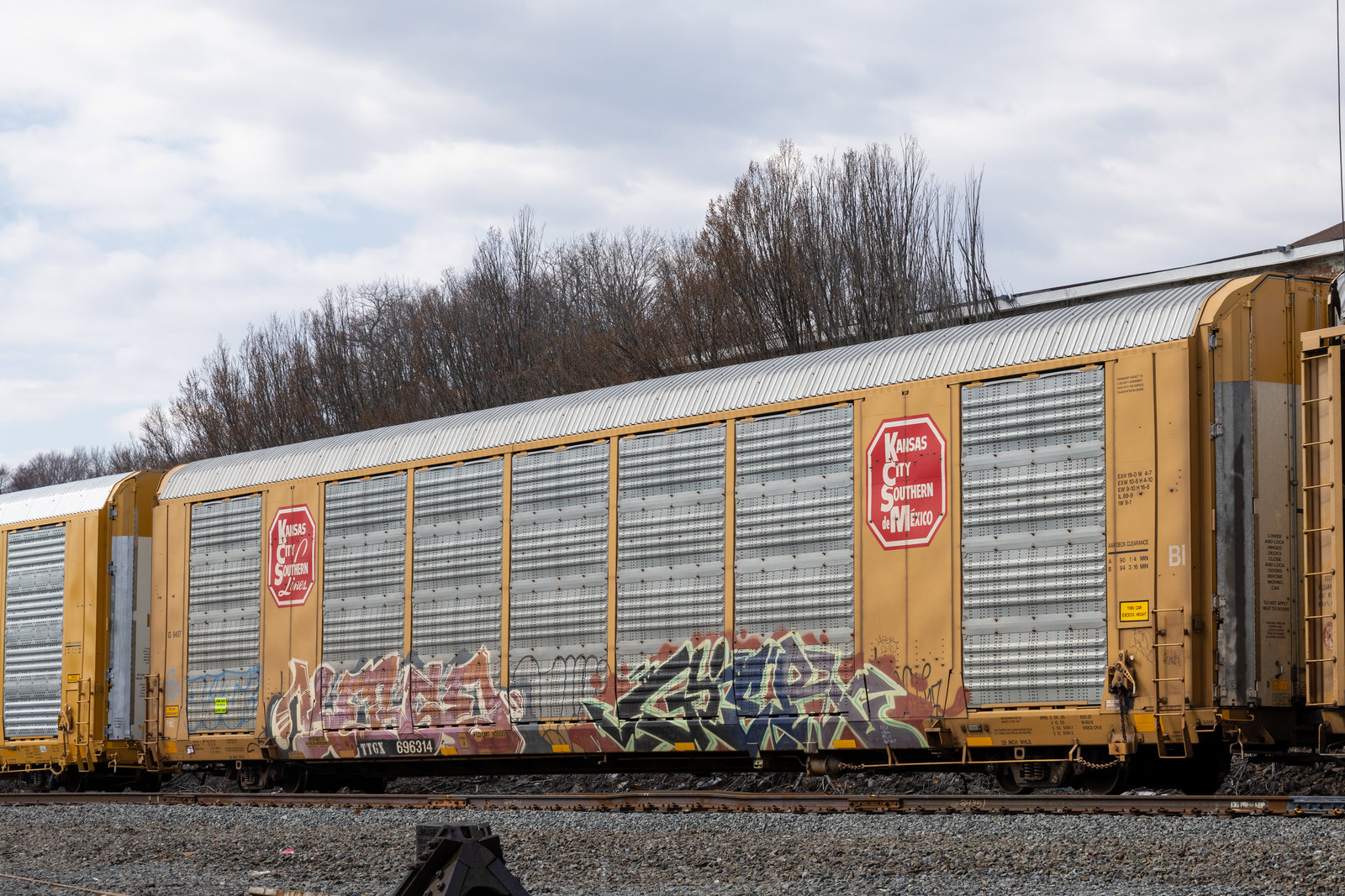 TTGX 696314