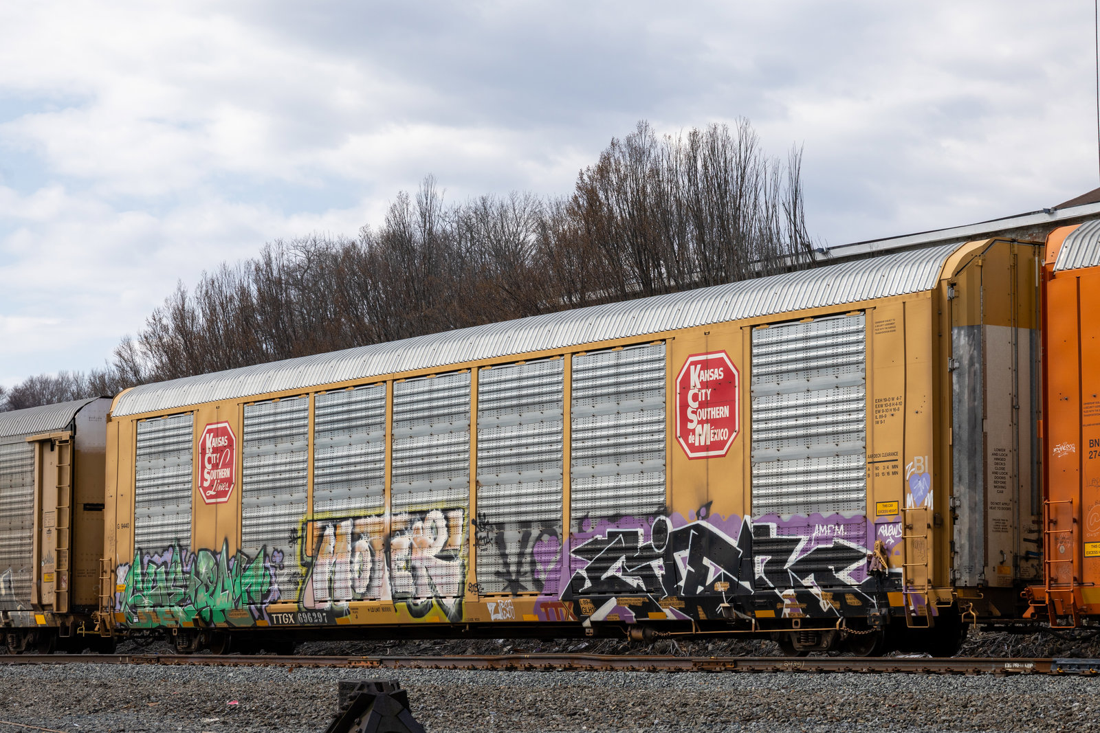 TTGX 696297