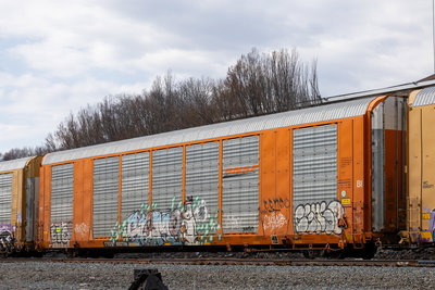 TTGX 693710