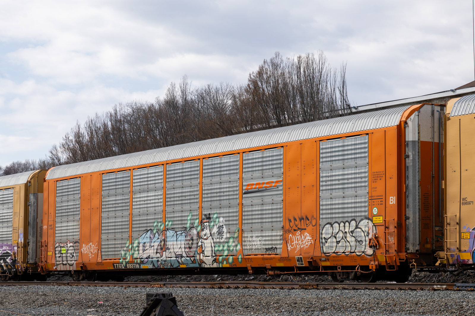 TTGX 693710