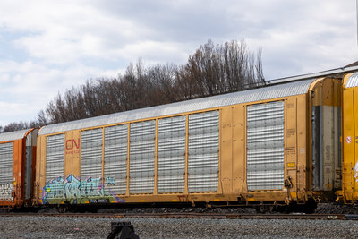 TTGX 696971