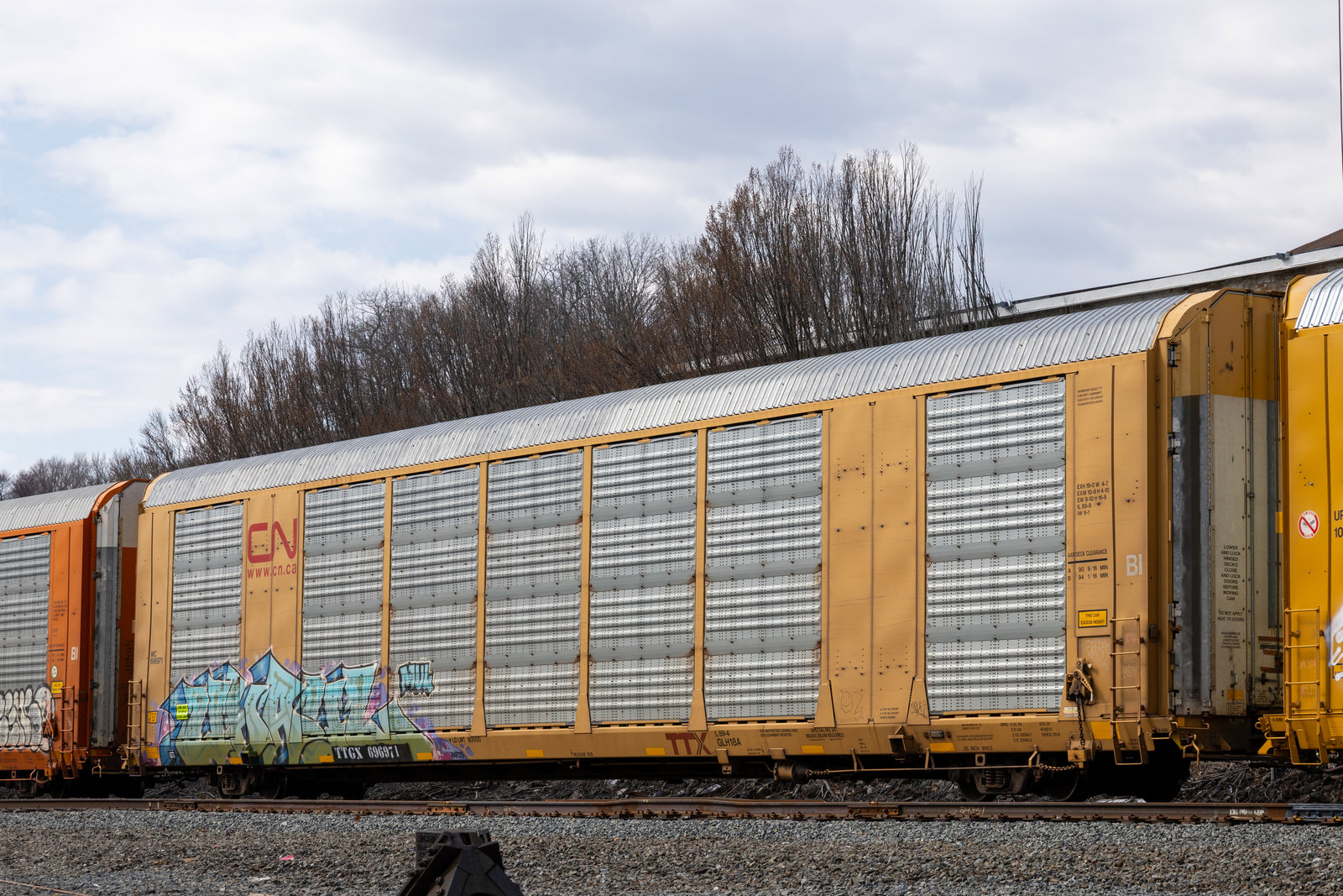 TTGX 696971