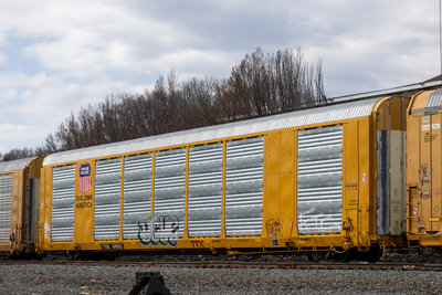 TTGX 698923