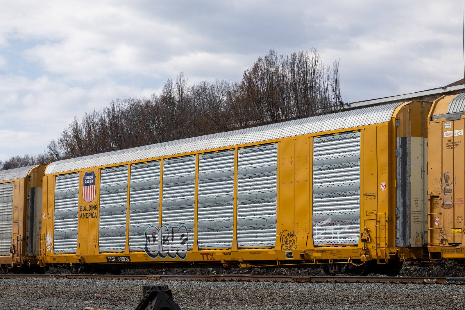 TTGX 698923