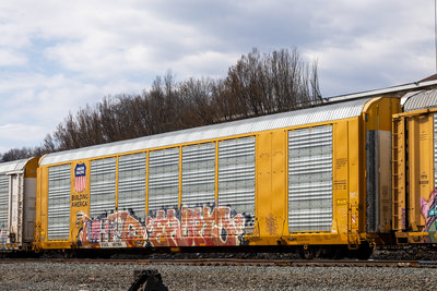 TTGX 697394