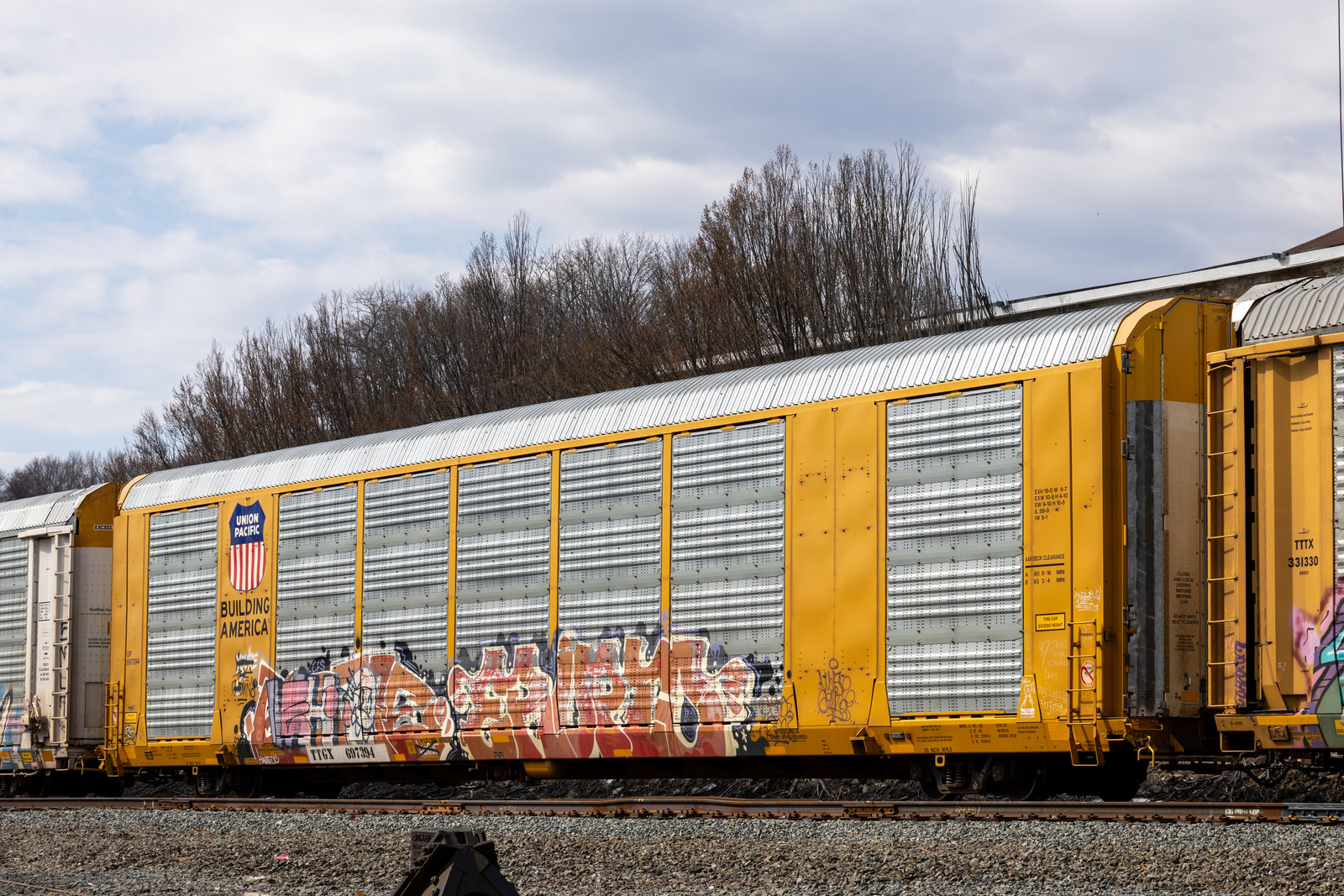 TTGX 697394