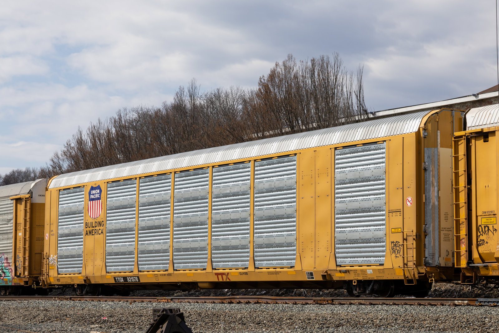 TTGX 821578