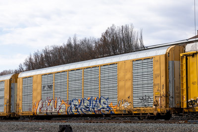 TTGX 698061