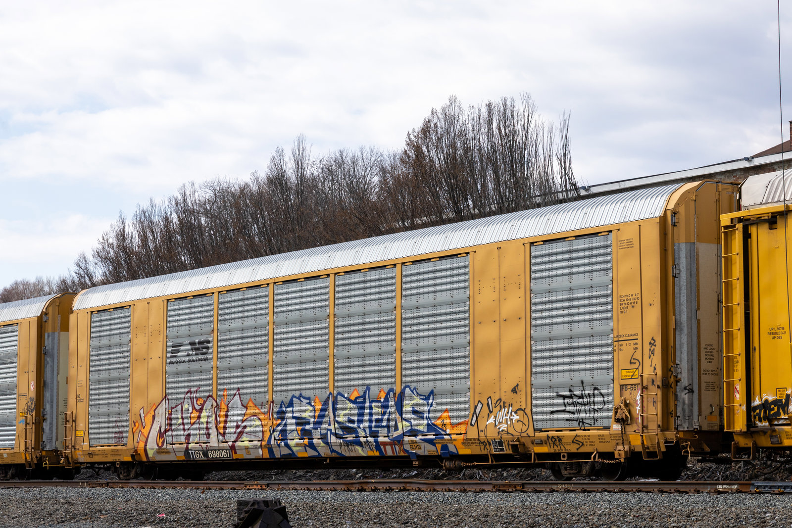 TTGX 698061
