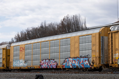 TTGX 697105