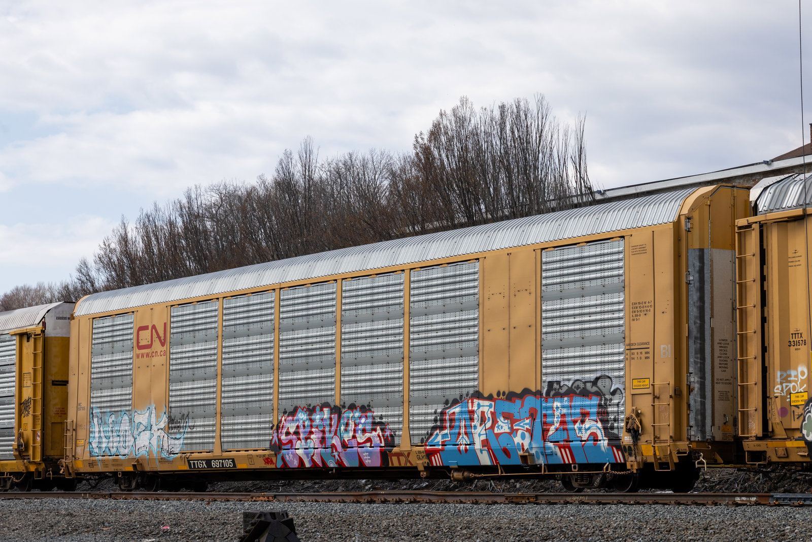 TTGX 697105