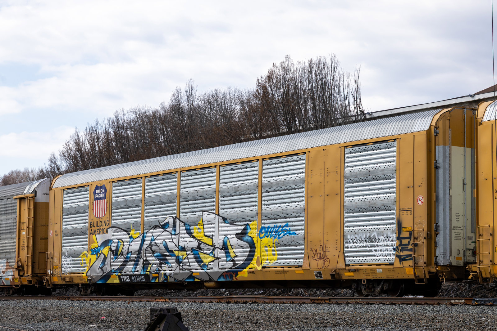 TTGX 821609