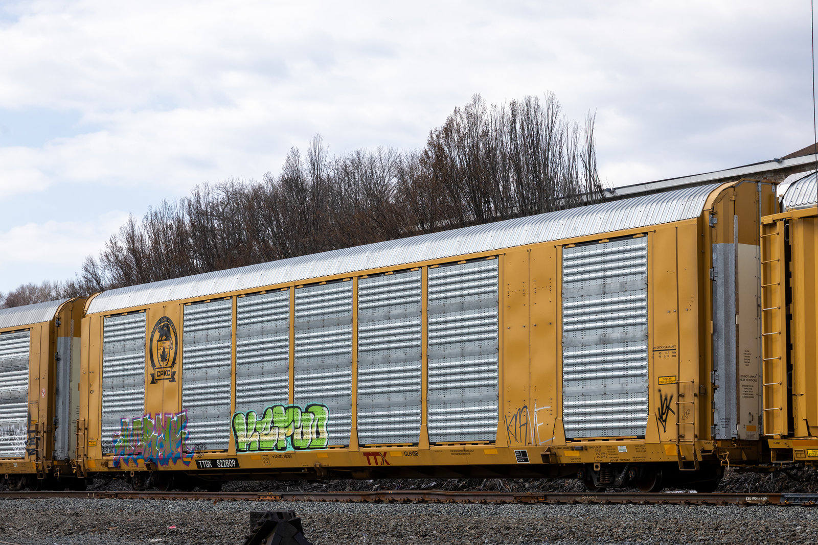TTGX 822809